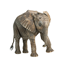 Deine Geschichte mit Afrikanischer Elefant